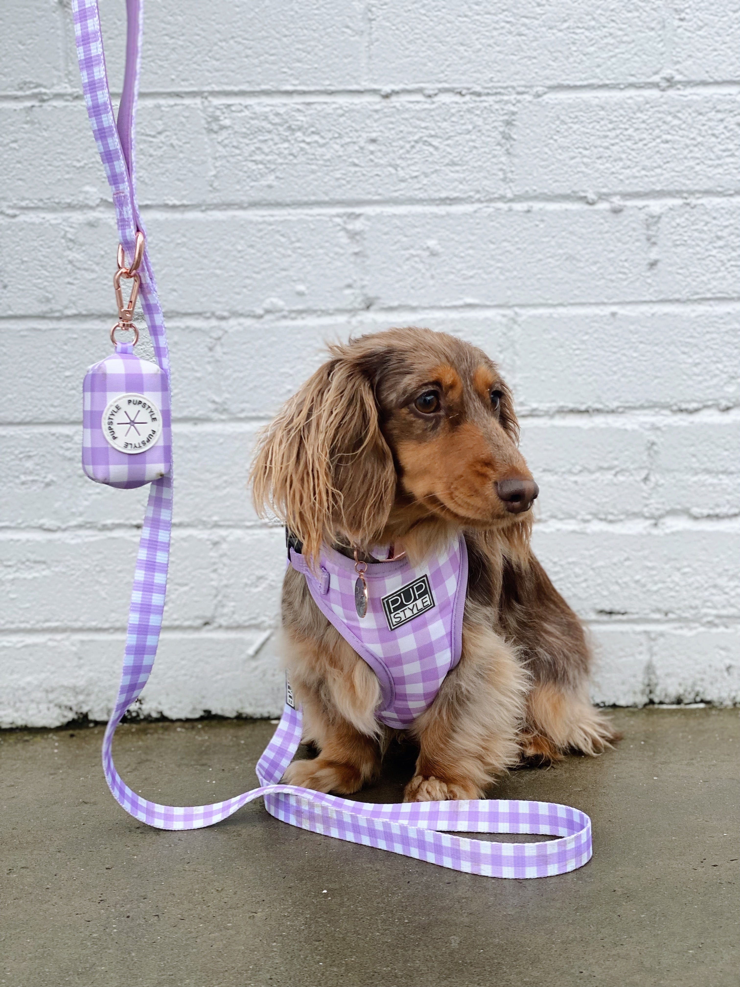 Dog Collar & Harness Set | Save up to 15% | PUPSTYLE